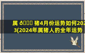 属 🐕 猪4月份运势如何2023(2024年属猪人的全年运势 🌲 男性)